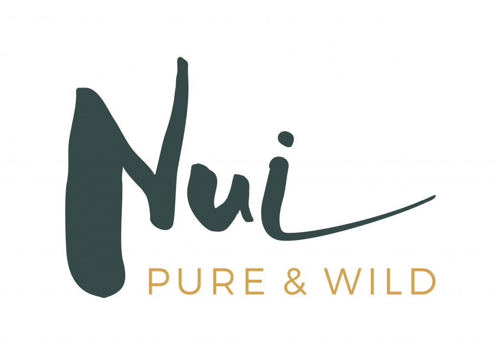 NUI banner.