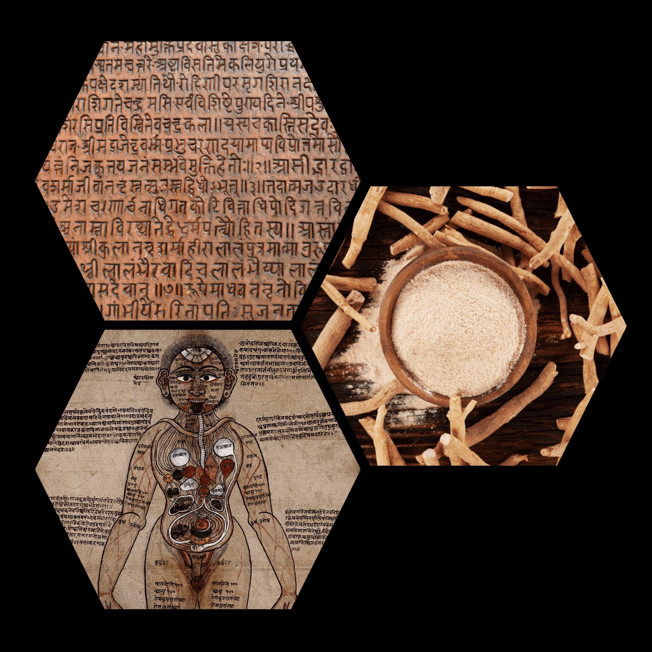 TRANSCENDED ASHWAGANDHA (PRIMAL ALCHEMY) Pentagram tradiční činská medicína.